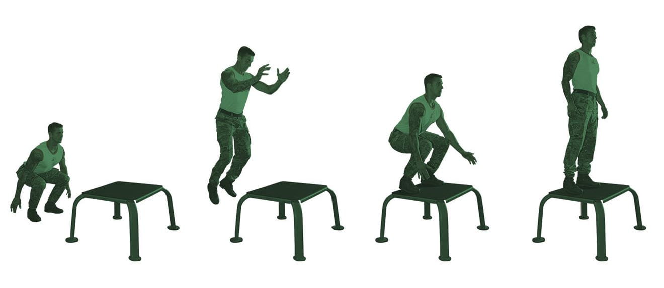 Steps for performing a box jump