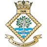 RN-BAS-Badge-INM INM