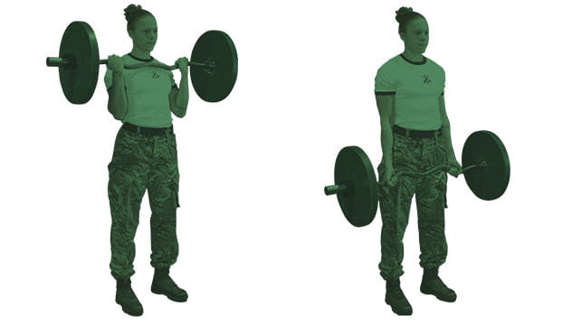 Steps for performing a bicep curl