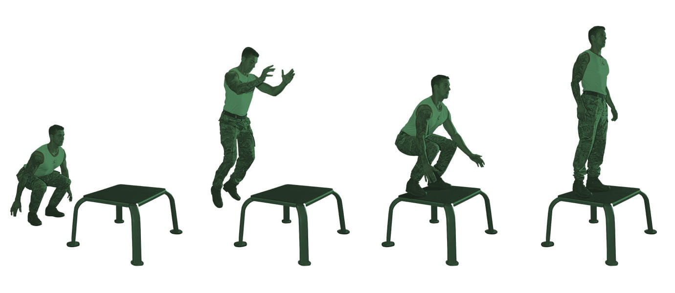 Steps for performing a box jump
